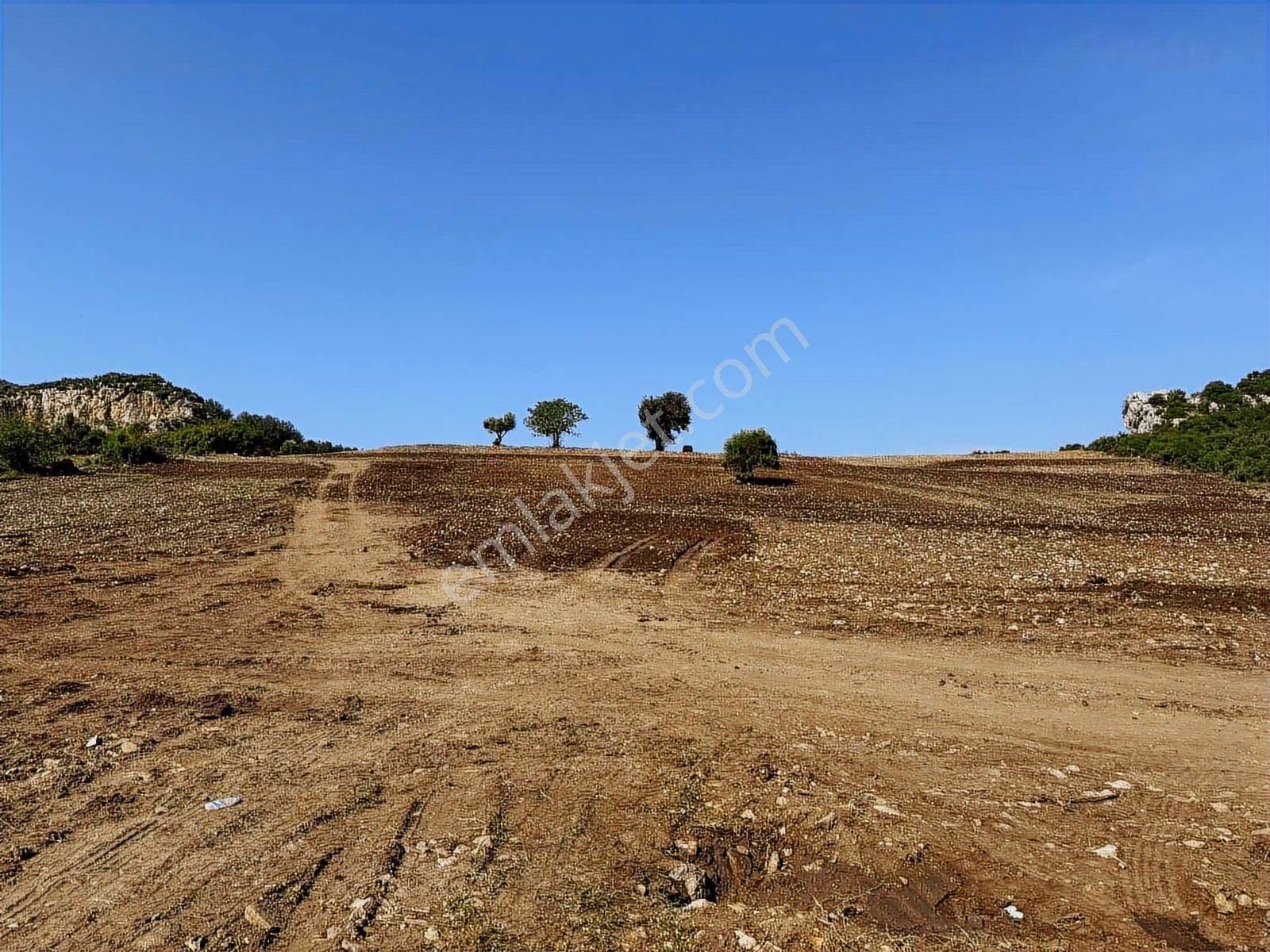 Antalya Tiny House Tatil Köy Projesi 275m Elekt/sulu Yaşam Alanı - Görsel 12
