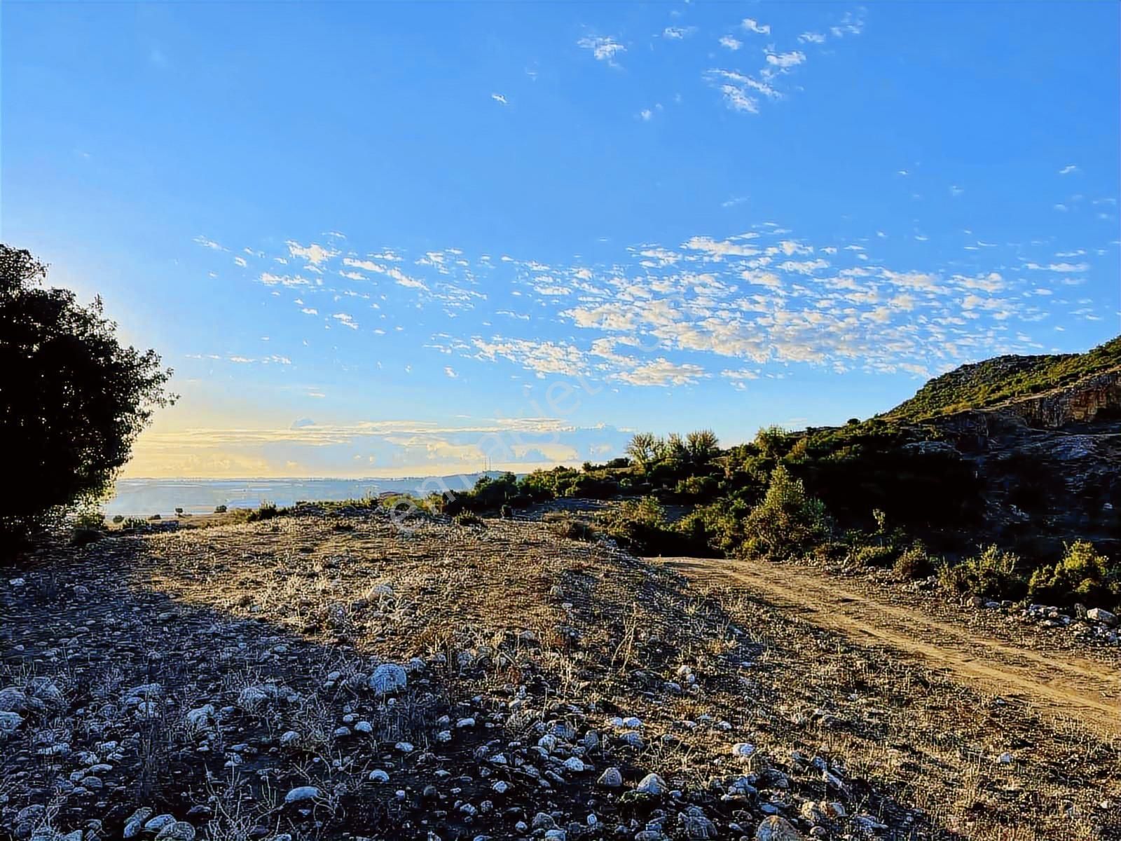 Antalya Tiny House Tatil Köy Projesi 275m Elekt/sulu Yaşam Alanı - Görsel 15
