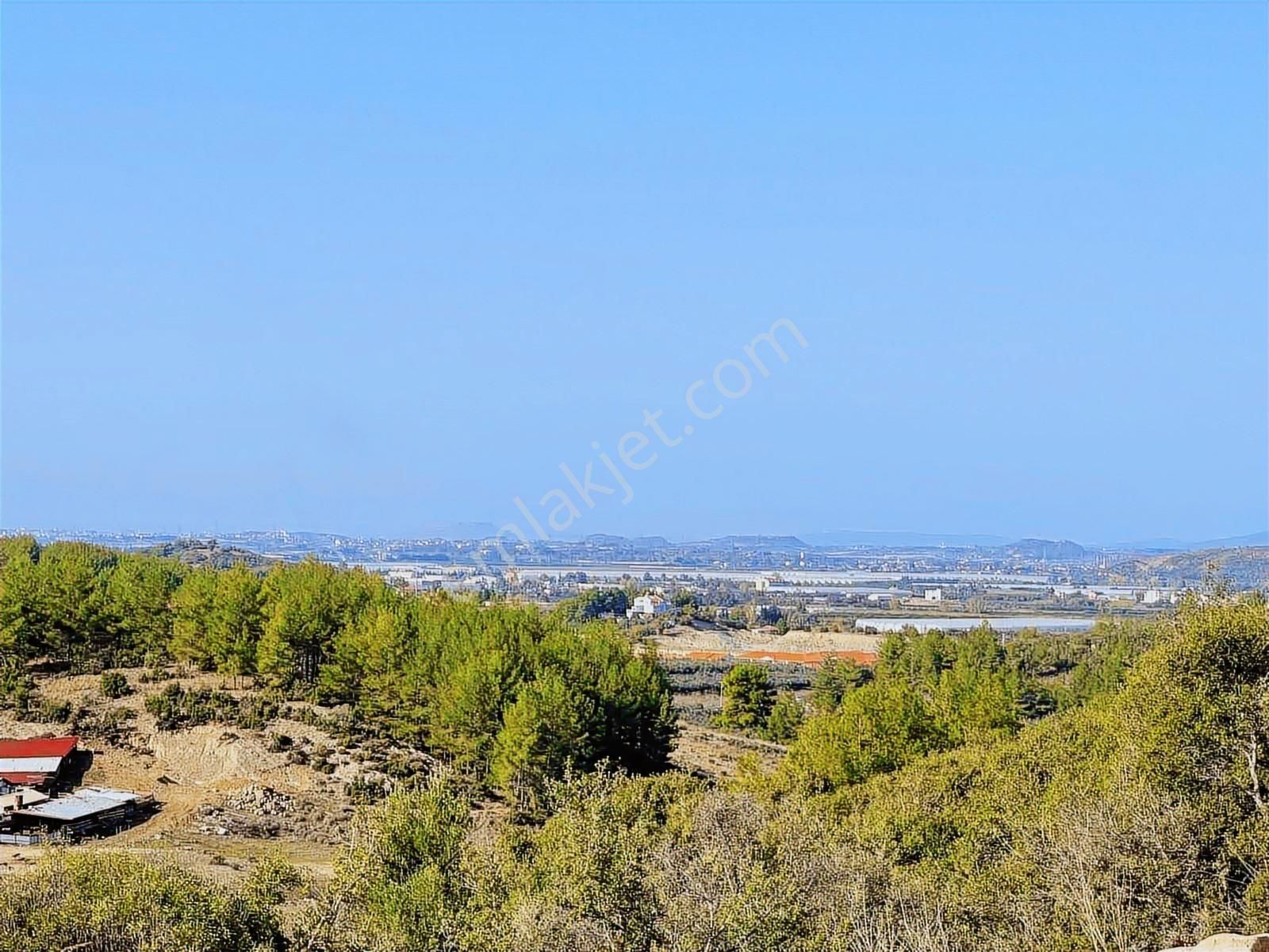 Antalya Tiny House Tatil Köy Projesi 275m Elekt/sulu Yaşam Alanı - Görsel 16