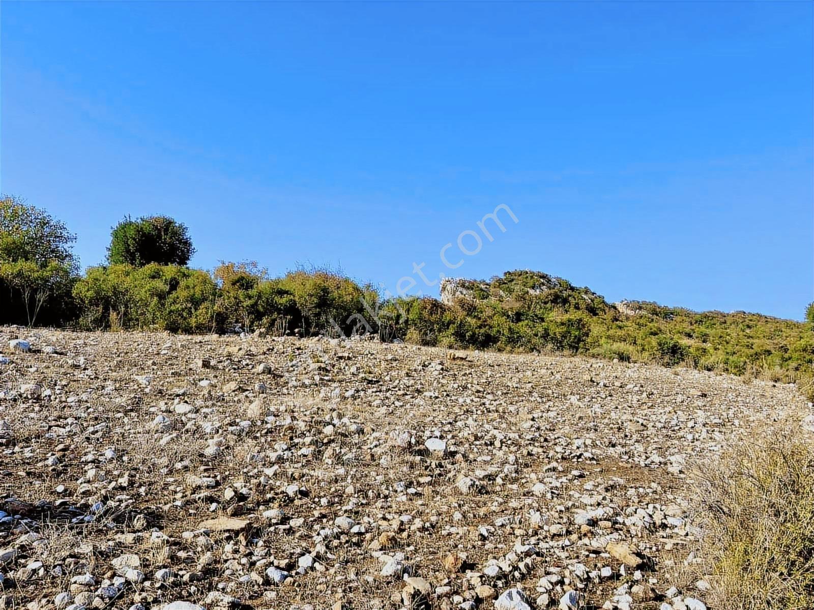 Antalya Tiny House Tatil Köy Projesi 275m Elekt/sulu Yaşam Alanı - Görsel 28