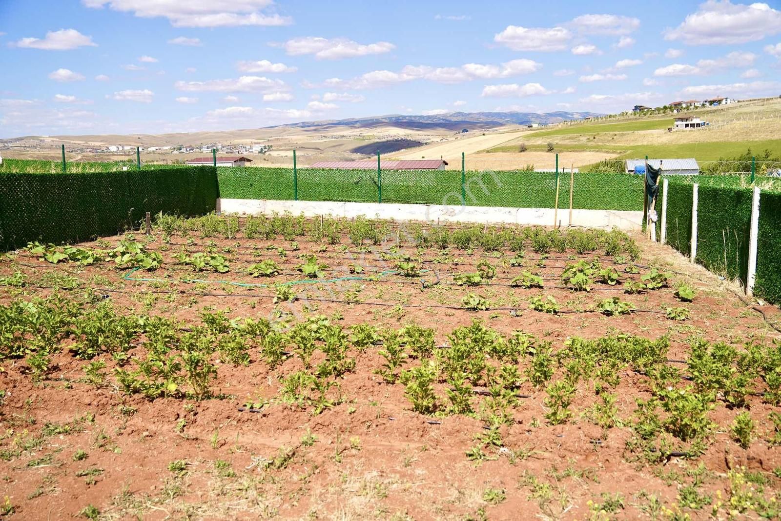 Asfalta Yakın 300 Metre Site Konsepti Elekt/sulu Bahçeler - Görsel 31