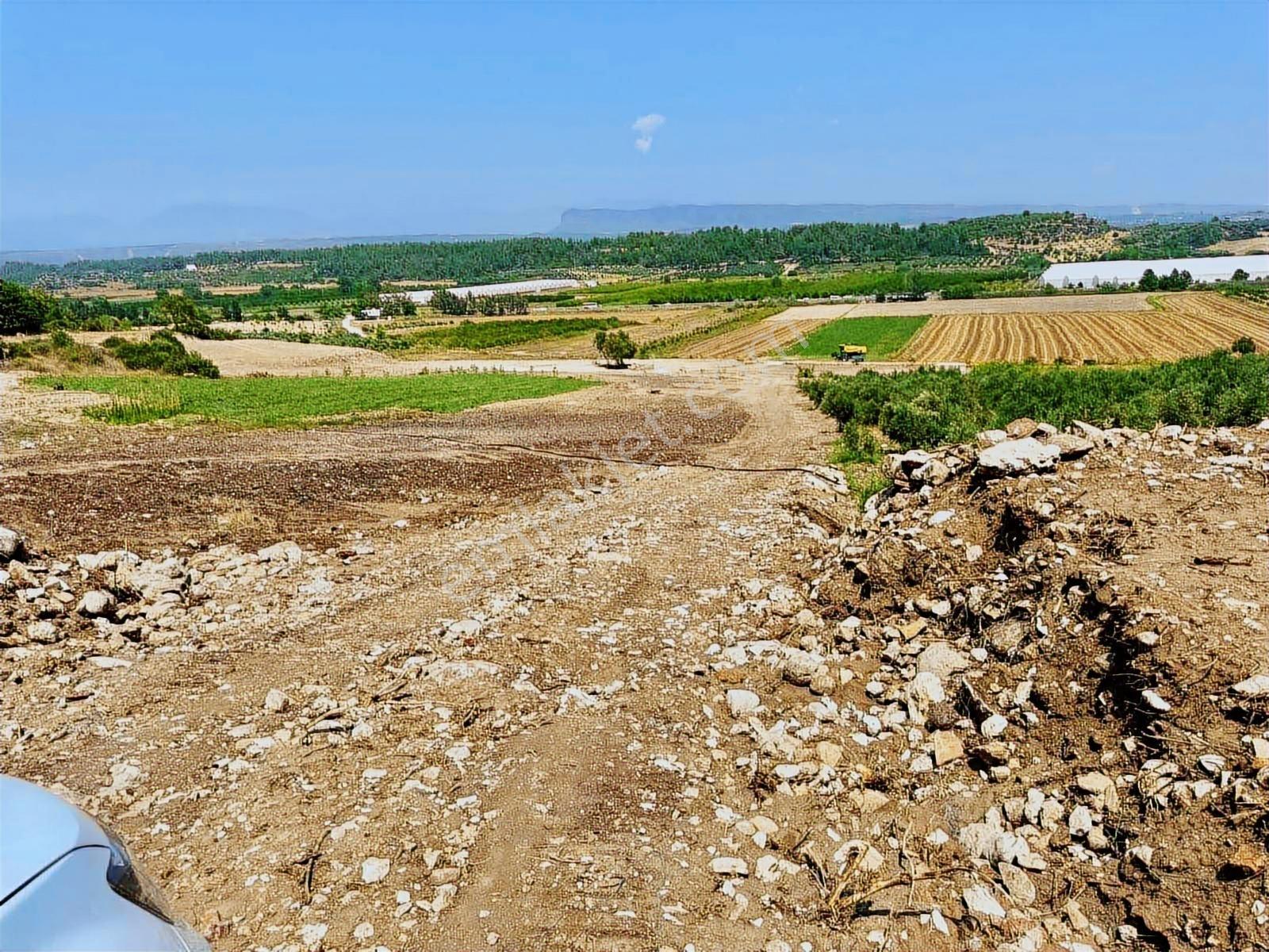 Manavgat Deniz Tarafı Elektirik Su Yol İcinde 275 Satılık Arazi - Görsel 12