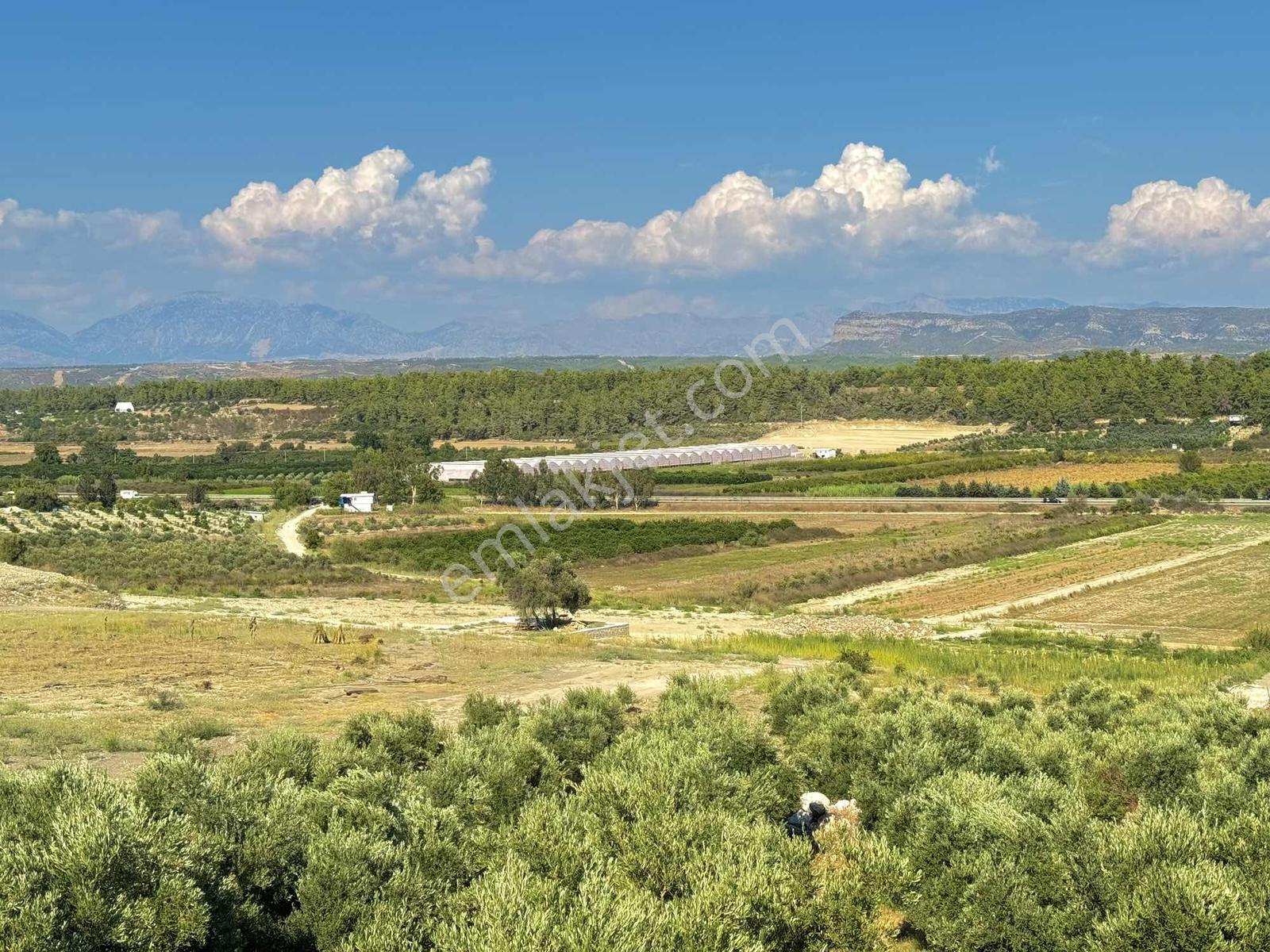 Köfteci Yusuf Karşısı 275m Elekt-su-tel İngiliz Villaları Yanı - Görsel 18