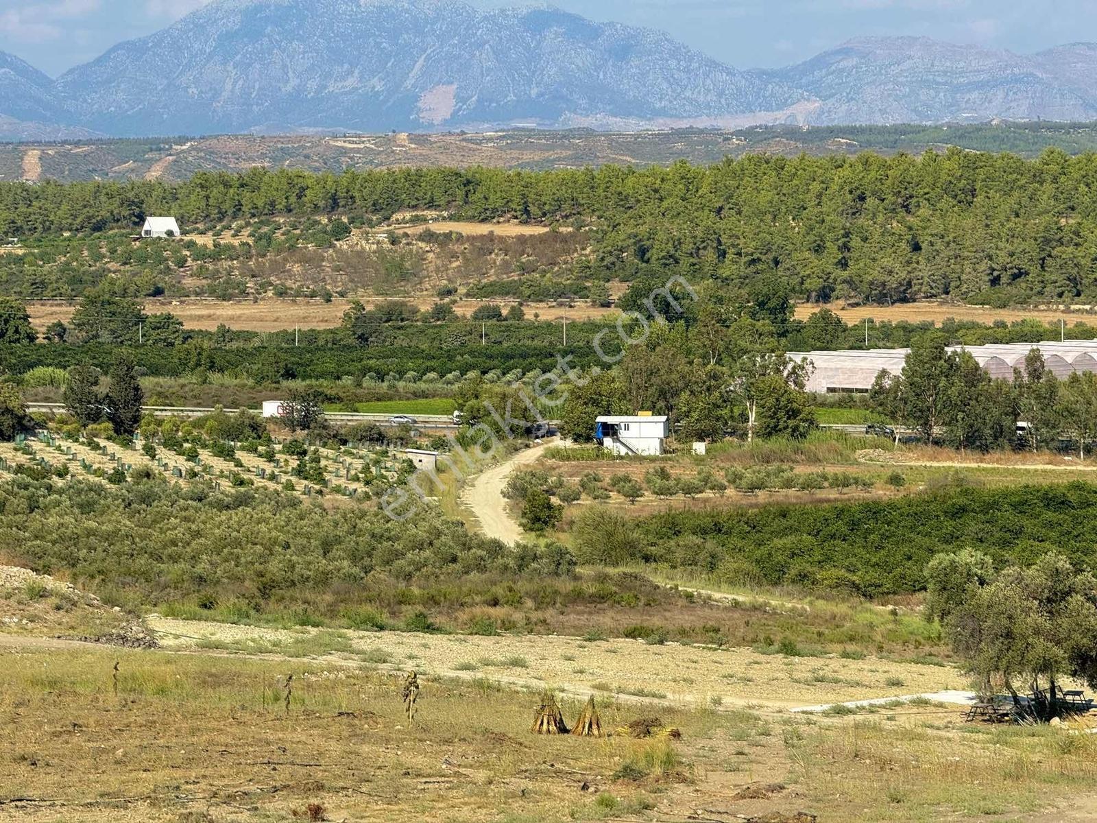 Köfteci Yusuf Karşısı 275m Elekt-su-tel İngiliz Villaları Yanı - Görsel 17
