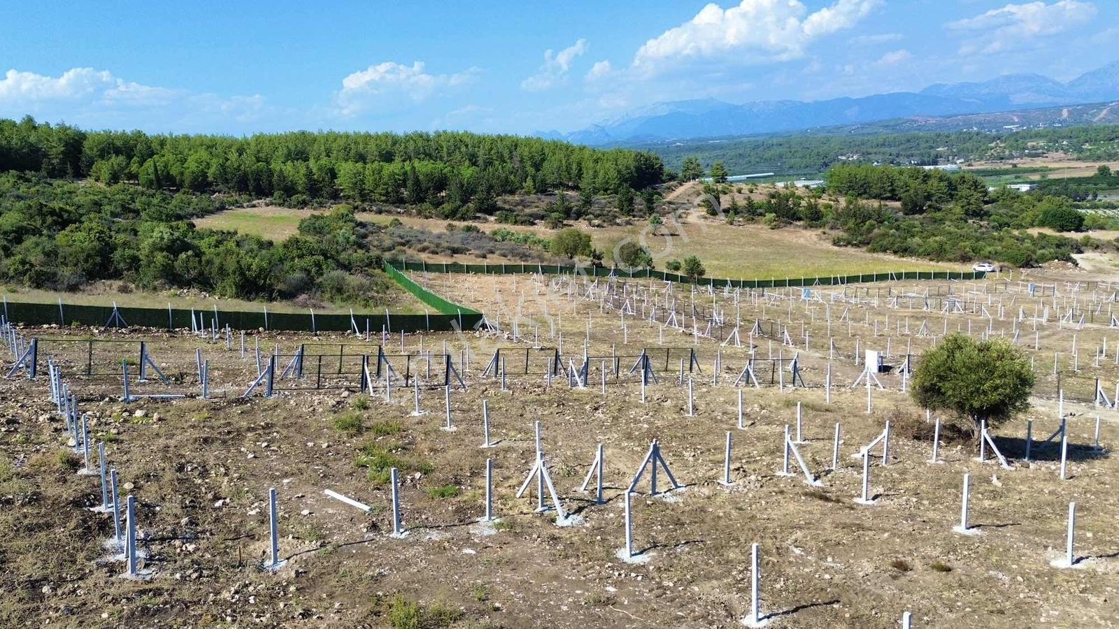 Köfteci Yusuf Karşısı 275m Elekt-su-tel İngiliz Villaları Yanı - Görsel 10