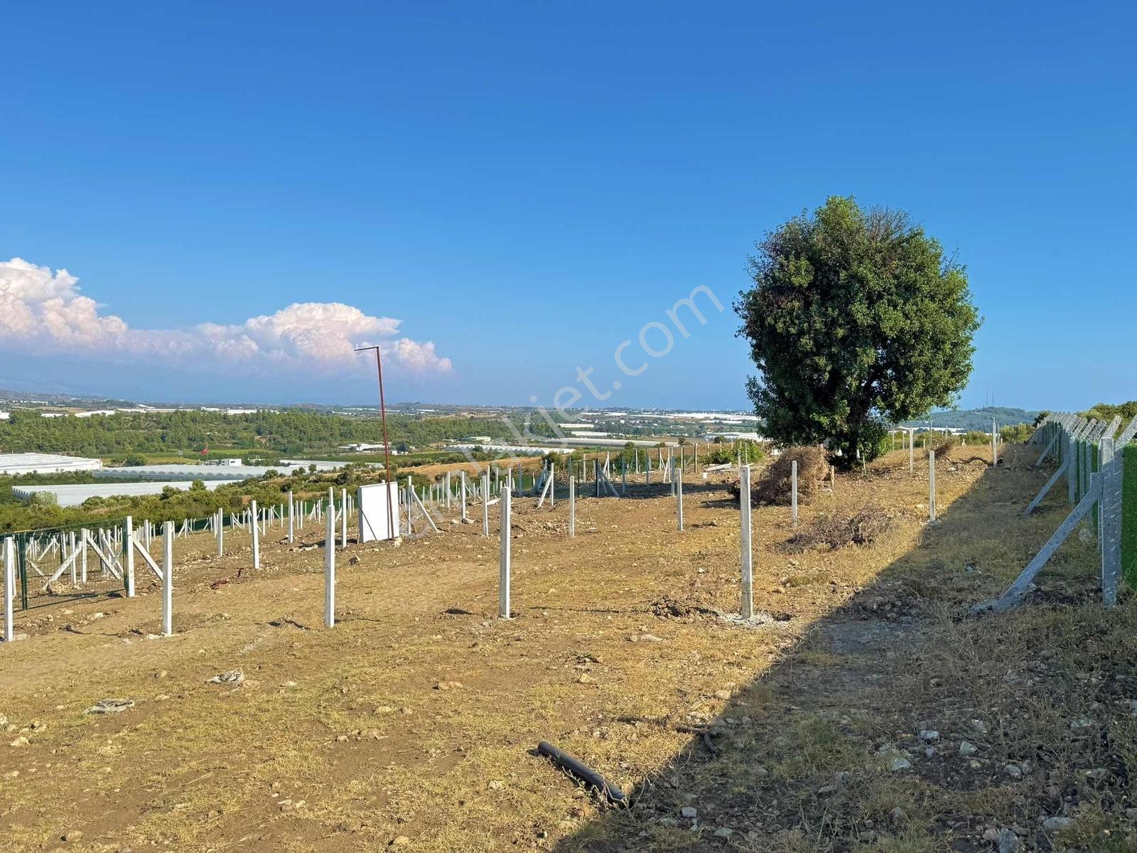 Köfteci Yusuf Karşısı 275m Elekt-su-tel İngiliz Villaları Yanı - Görsel 30