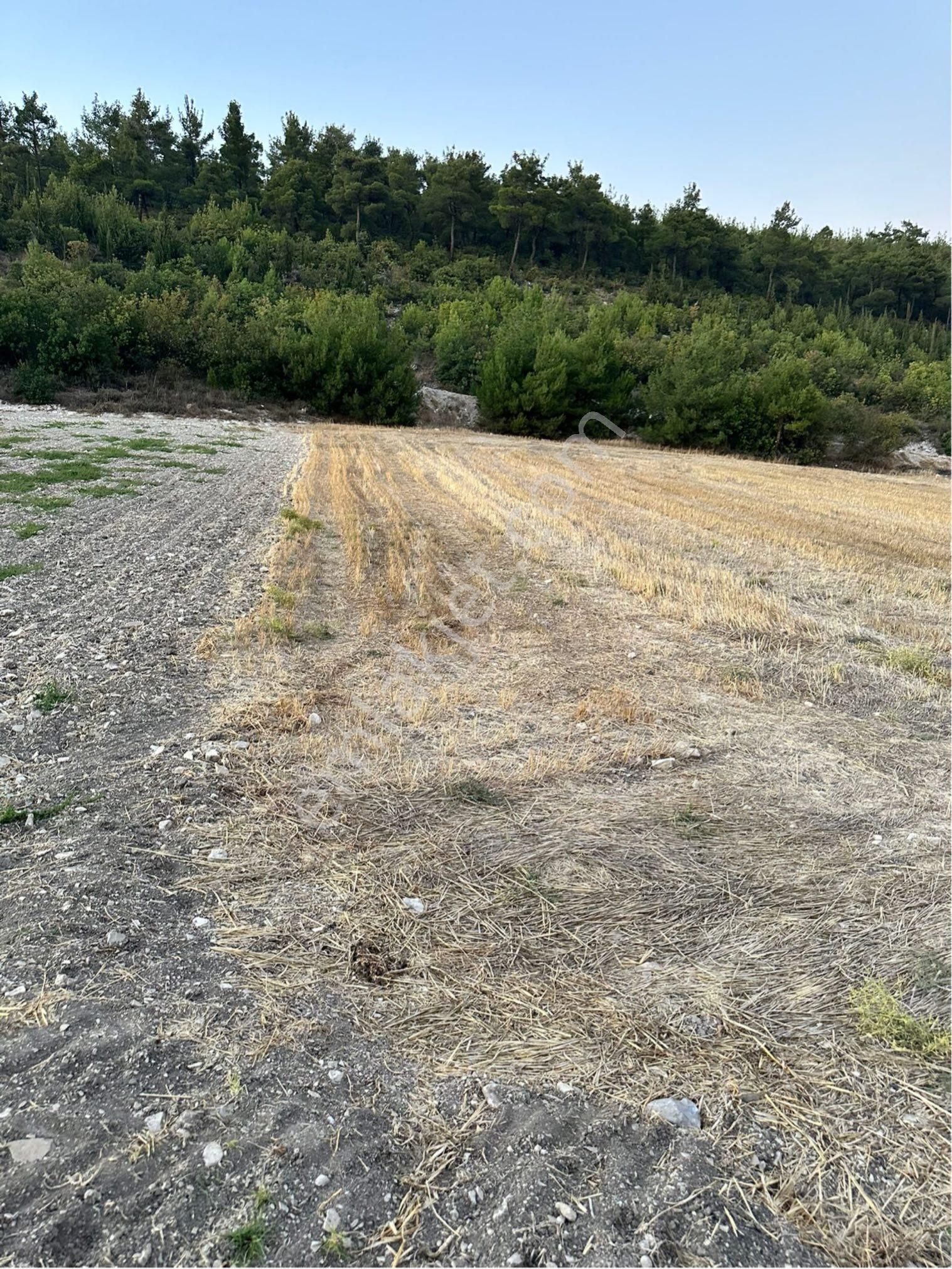 Balcity’den Bigadiç Yolbaşı Mah. Asfalt Yola Cephe, 708 M² Yatırım Fırsatı! - Görsel 5