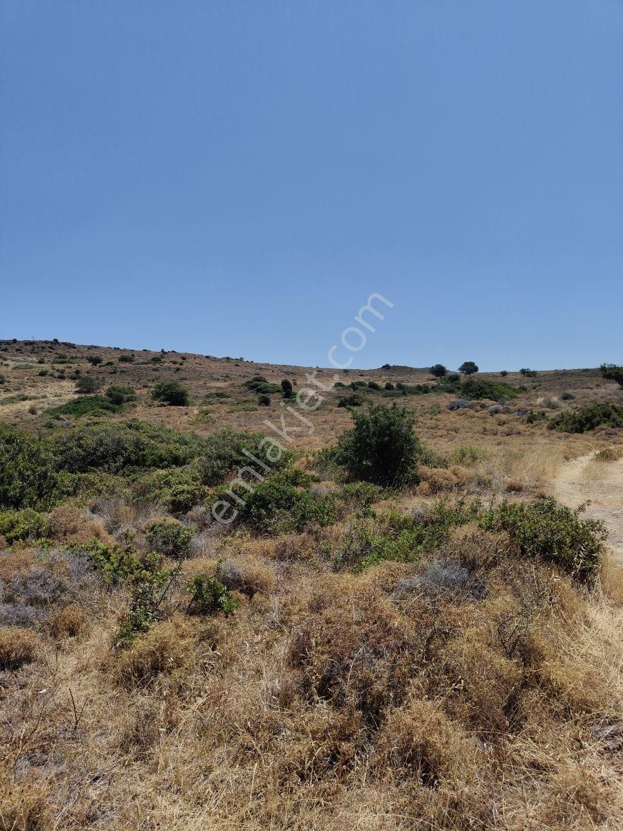 Brt Gayrimenkul'den Full Deniz Ve Ada Manzaralı Tarla - Görsel 6