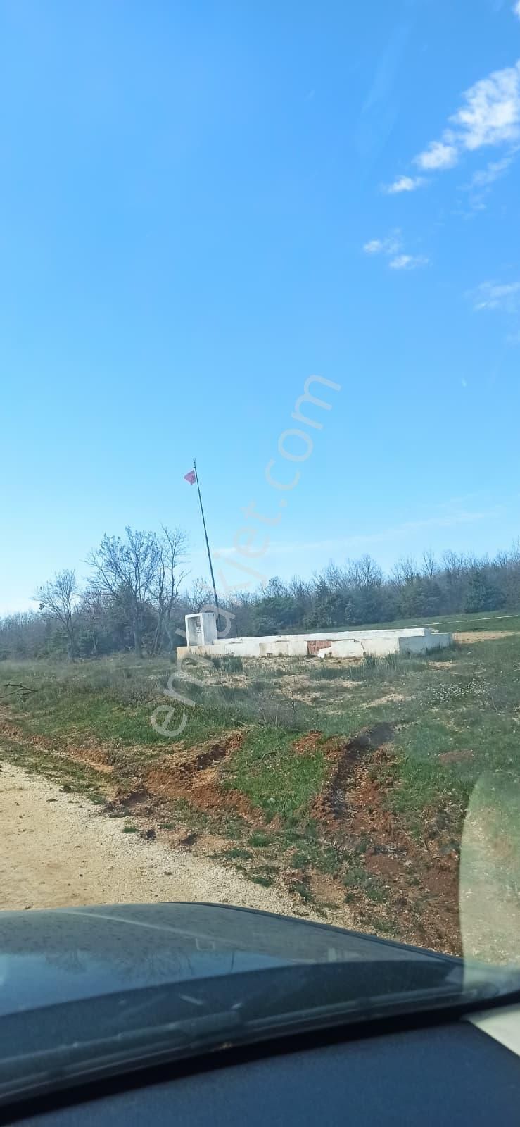 Remax Land' Ten Vıze Topçuköy’de Ormana Sıfır, Yatırıma Uygun Satılık Tarla - Görsel 4