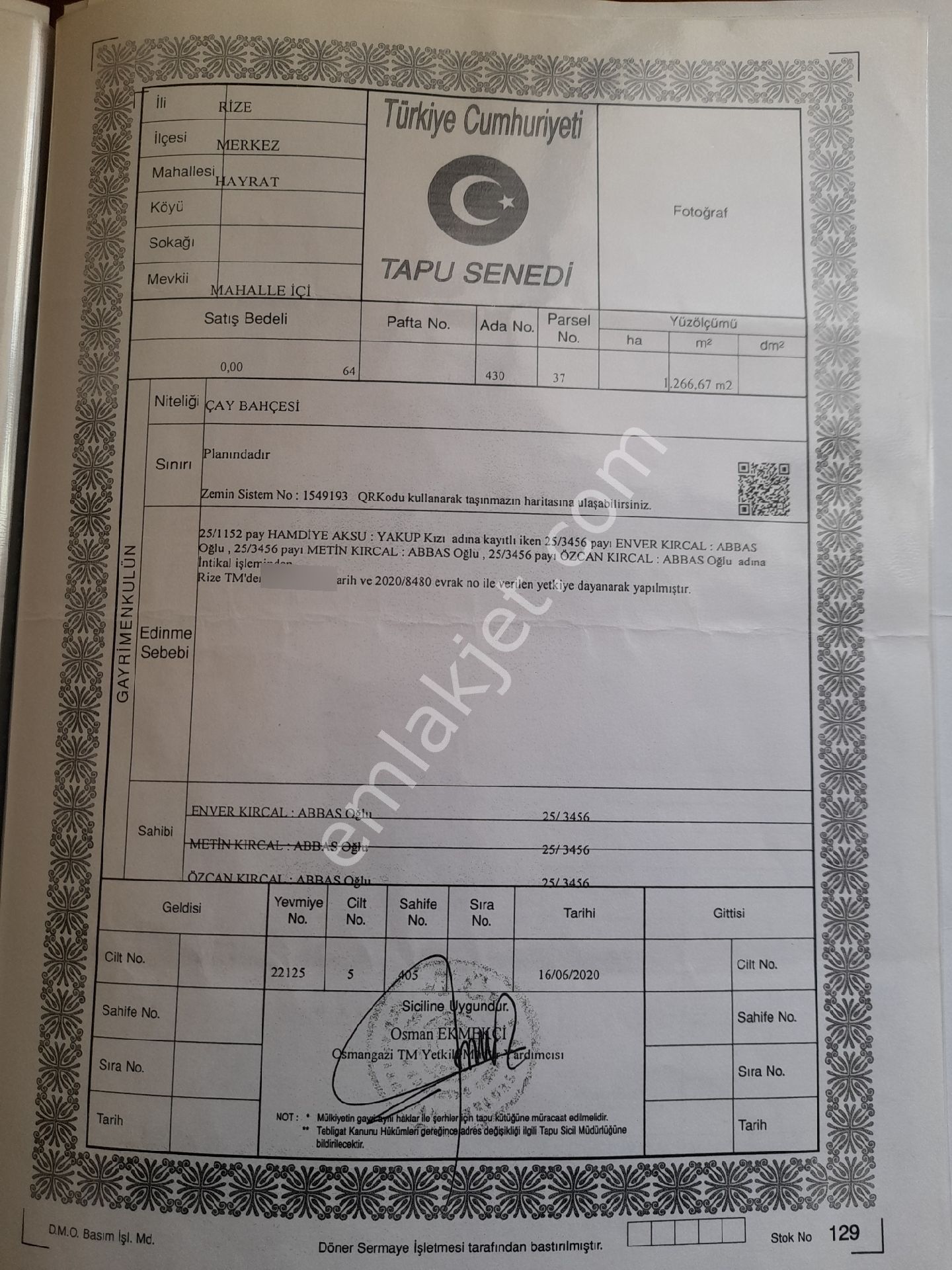 Rıze Merkez Hayrat Ta Hısselı Caylık - Görsel 2