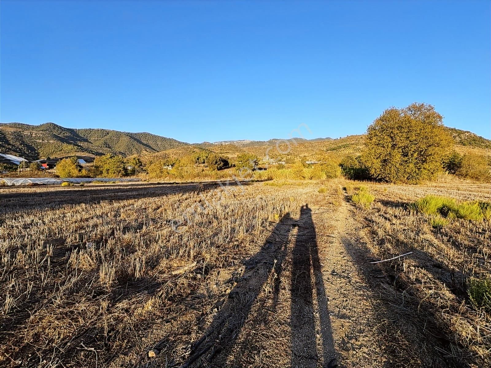 Anayola Sıfır Konumda 8.346 Mt2 Tarla - Görsel 4