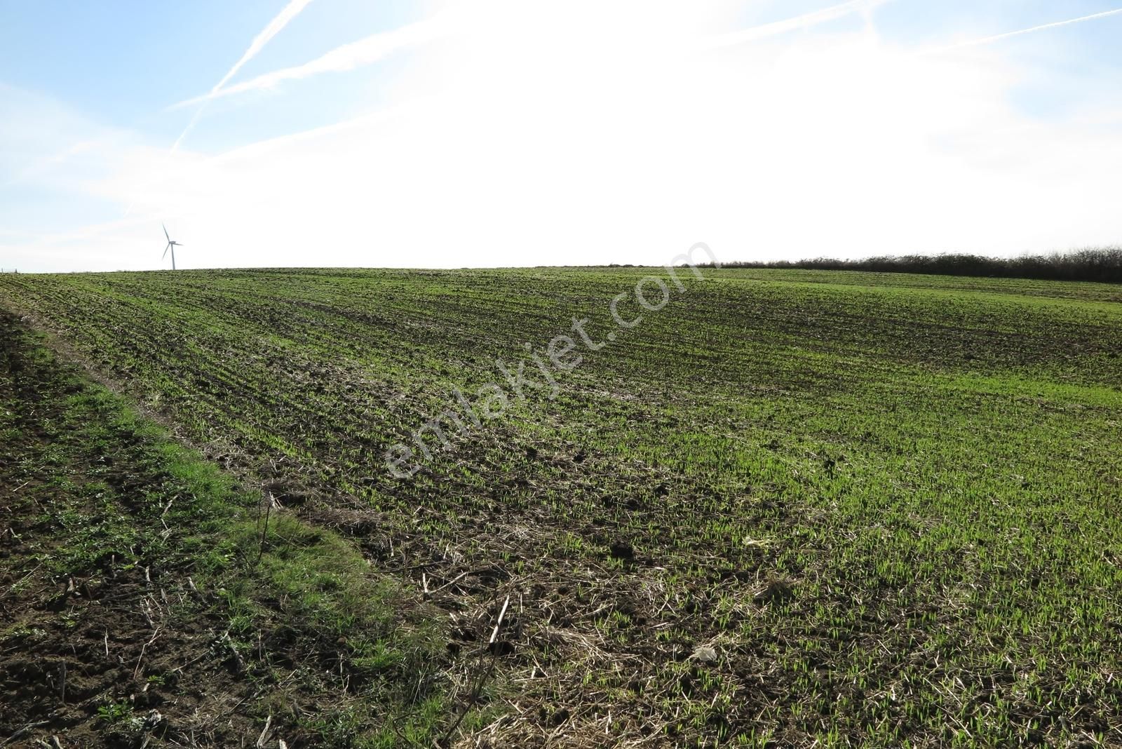 Kadıköyün En Değerli Noktasında 1.300 M² Emsalsiz Parsel - Görsel 13