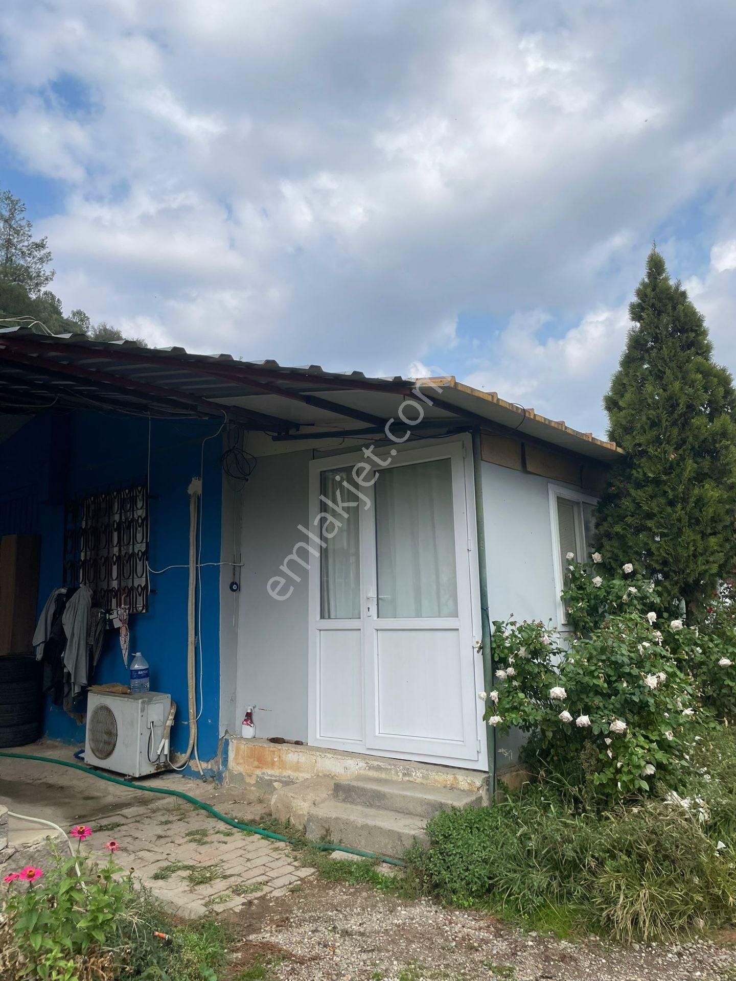 Kemalpaşa'da Organik Sertifikalı Ve Tavuk Çiftliği - Görsel 9