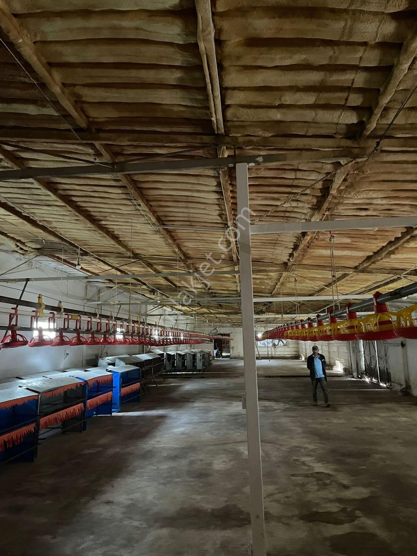 Kemalpaşa'da Organik Sertifikalı Ve Tavuk Çiftliği - Görsel 3