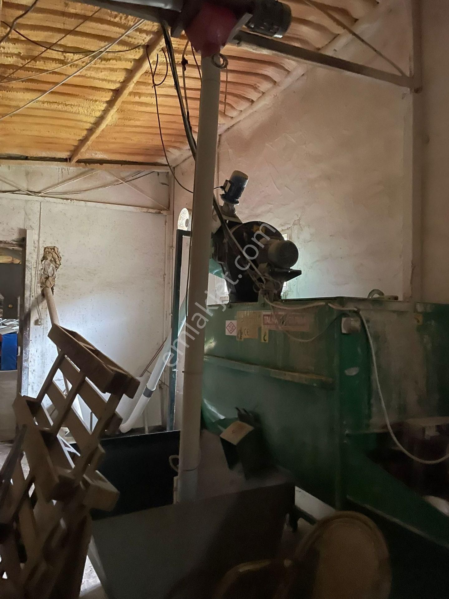 Kemalpaşa'da Organik Sertifikalı Ve Tavuk Çiftliği - Görsel 7