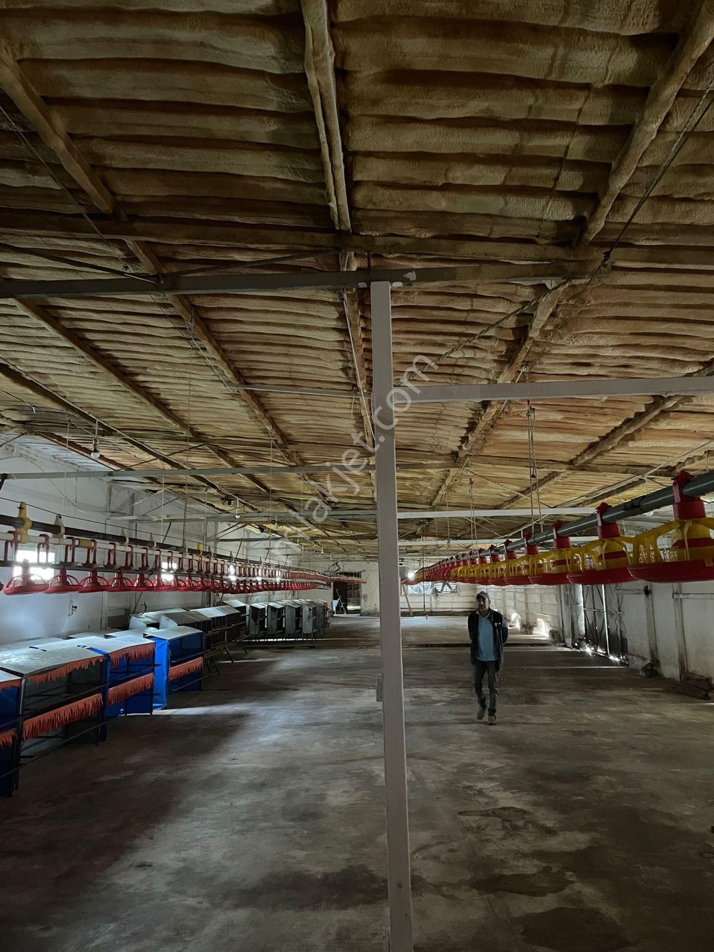 Kemalpaşa'da Organik Sertifikalı Ve Tavuk Çiftliği