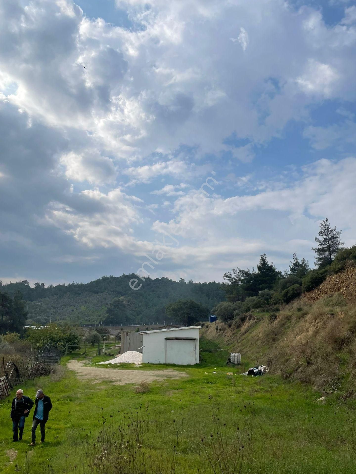 Kemalpaşa'da Organik Sertifikalı Ve Tavuk Çiftliği - Görsel 10