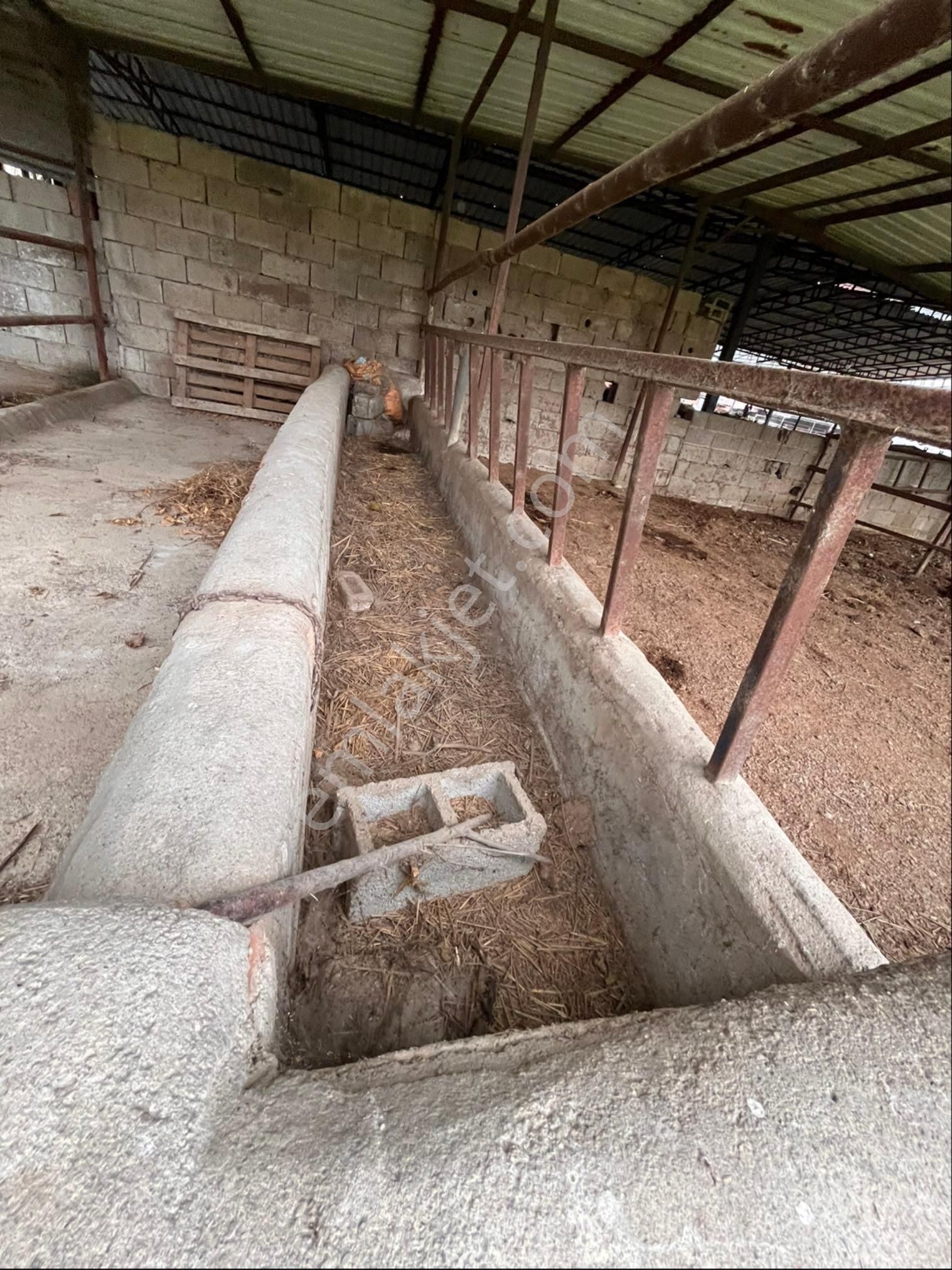 Söke Bağarası Köyünde Satılık İçinde Ev Olan Tarla - Görsel 13