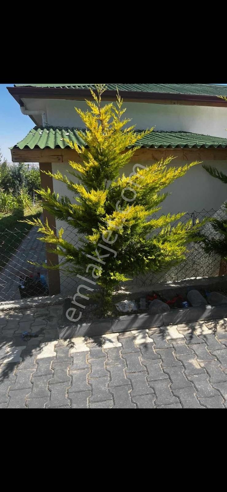 Arslanlar Grup A.ş - Görsel 13