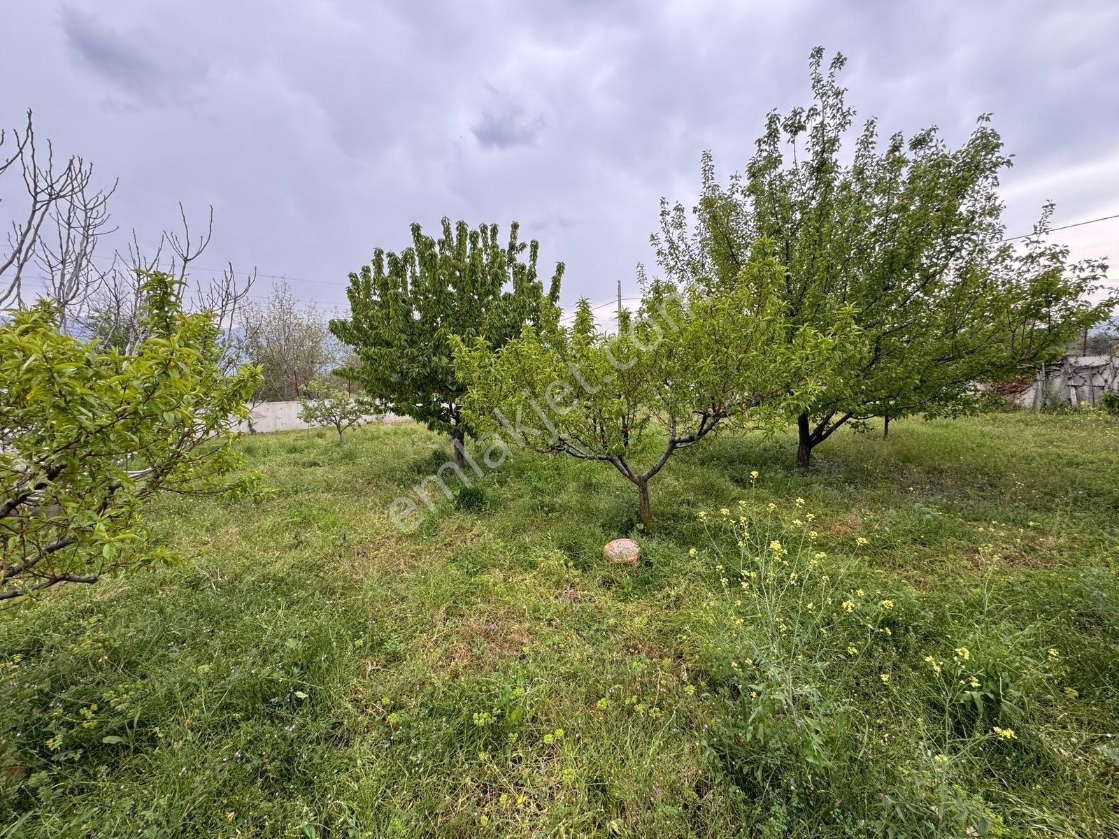 Emirseyitte Anayol Üzerinde 2945m2 İçerisinde 2+1 Evi Olan - Görsel 20