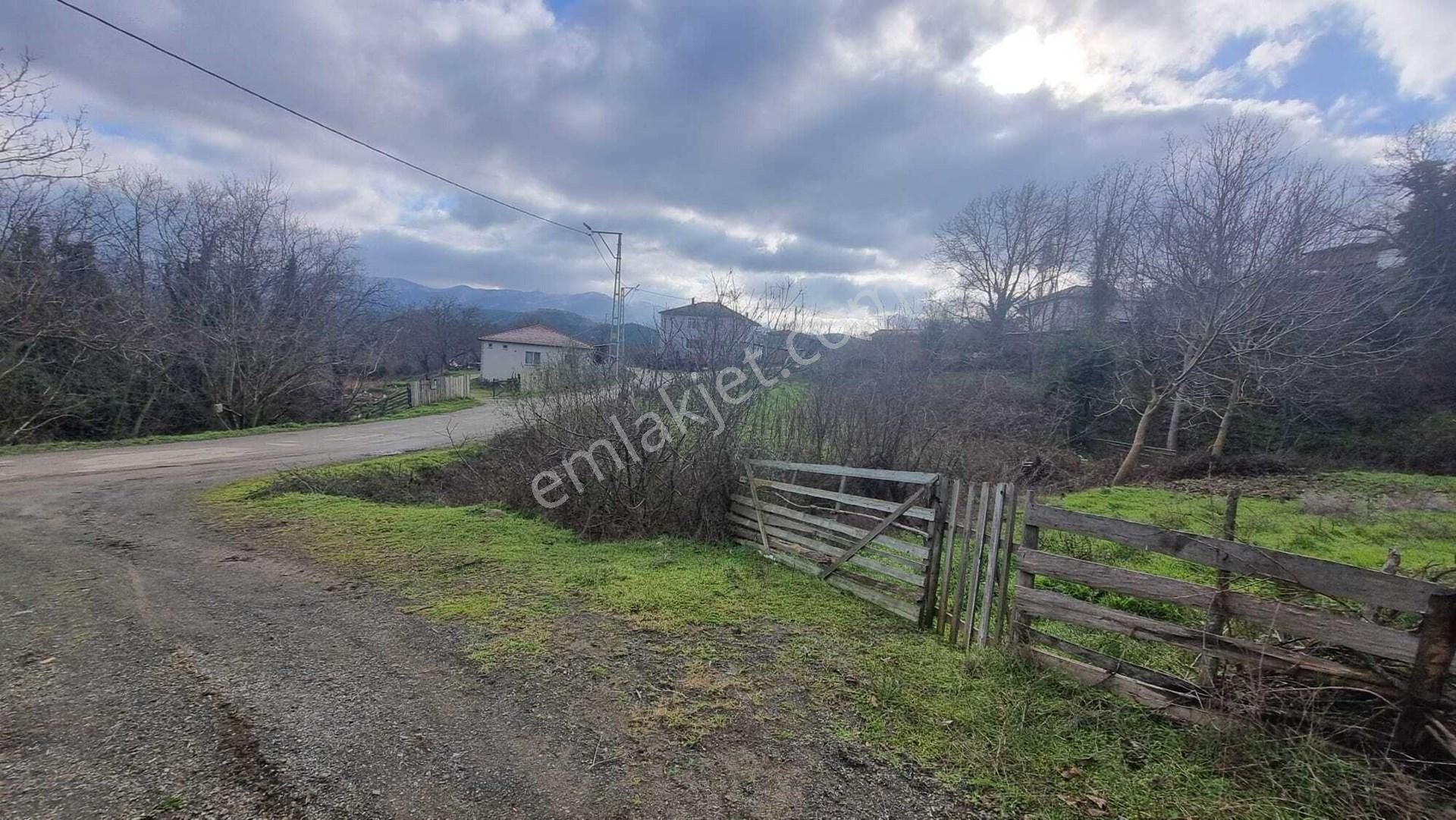 Kazdağları Uzantılarında 1230 M2 İmarlı Arsa (bahçe Niteliğinde) Kızılelma Köyü Çan Çanakkale - Görsel 2