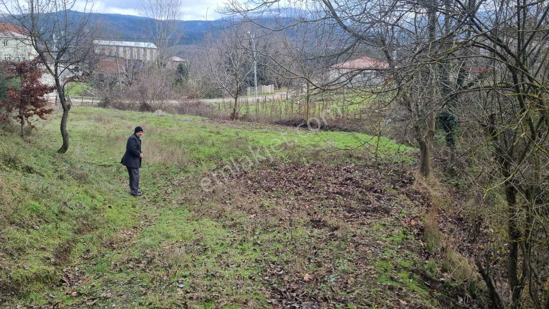 Kazdağları Uzantılarında 1230 M2 İmarlı Arsa (bahçe Niteliğinde) Kızılelma Köyü Çan Çanakkale - Görsel 6