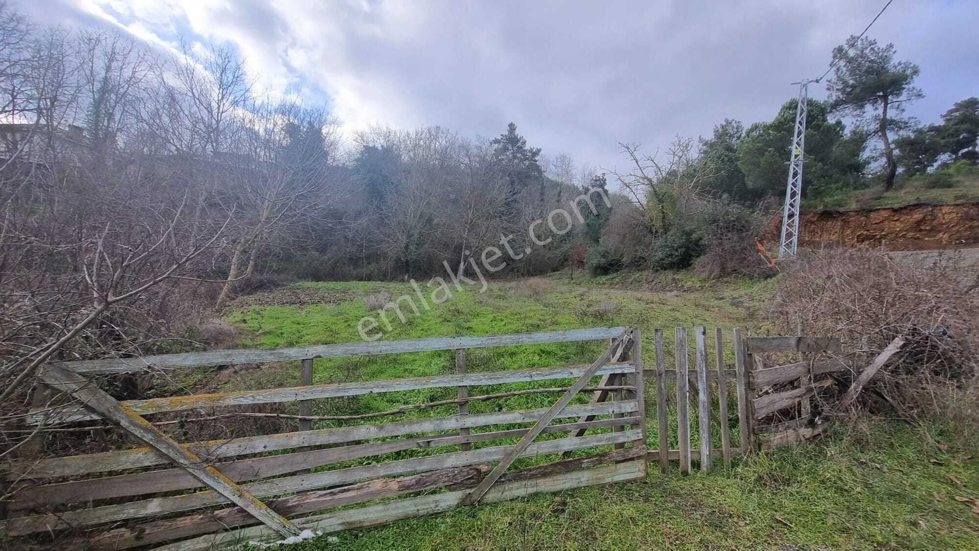 Kazdağları Uzantılarında 1230 M2 İmarlı Arsa (bahçe Niteliğinde) Kızılelma Köyü Çan Çanakkale - Görsel 12