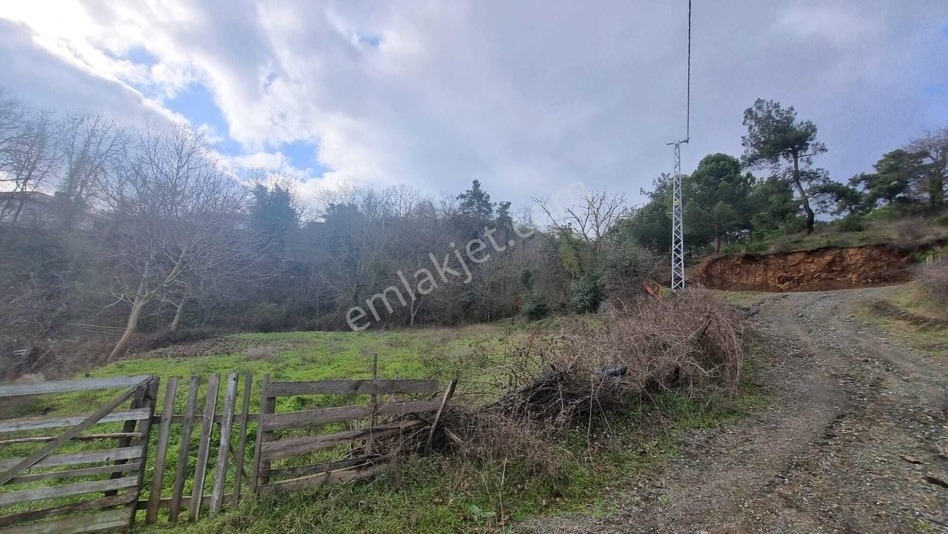 Kazdağları Uzantılarında 1230 M2 İmarlı Arsa (bahçe Niteliğinde) Kızılelma Köyü Çan Çanakkale