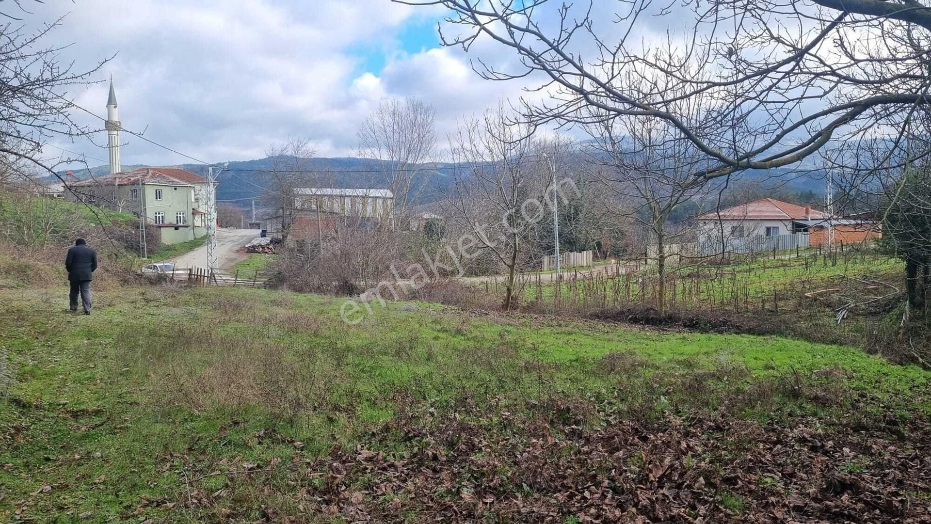 Kazdağları Uzantılarında 1230 M2 İmarlı Arsa (bahçe Niteliğinde) Kızılelma Köyü Çan Çanakkale - Görsel 5