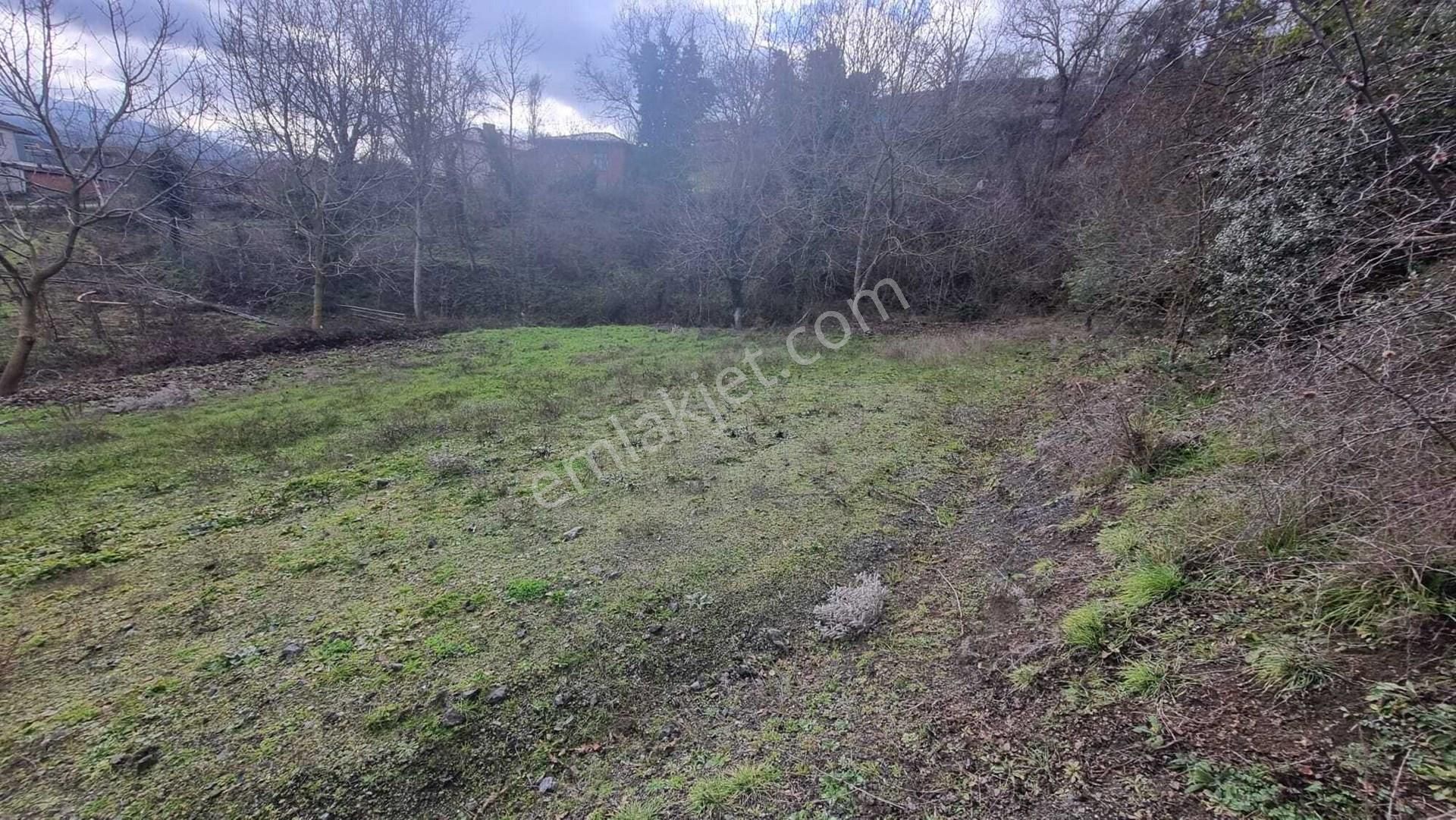 Kazdağları Uzantılarında 1230 M2 İmarlı Arsa (bahçe Niteliğinde) Kızılelma Köyü Çan Çanakkale - Görsel 4