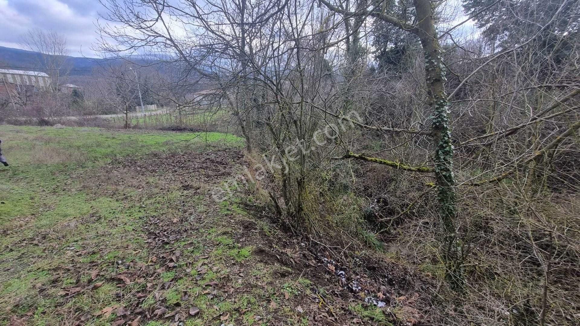 Kazdağları Uzantılarında 1230 M2 İmarlı Arsa (bahçe Niteliğinde) Kızılelma Köyü Çan Çanakkale - Görsel 8