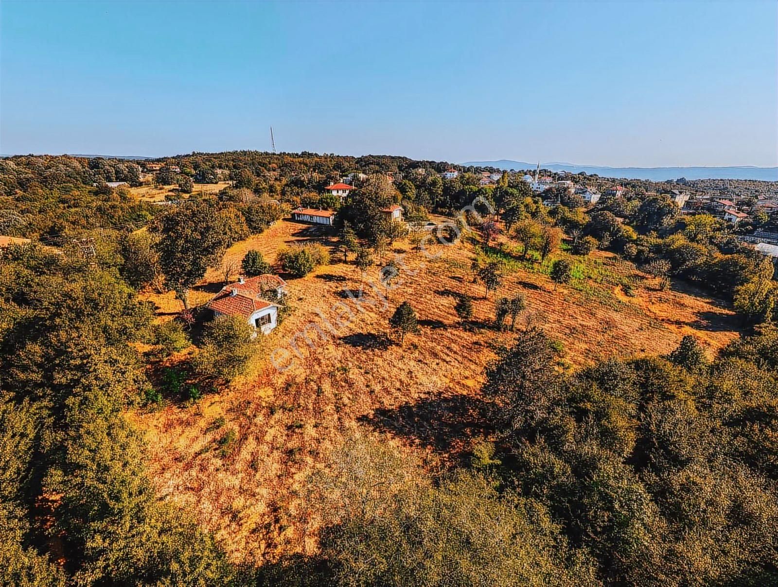 Beykoz Kılıçlıda 13830 M² Yatırımlık Arsa 15villa Potansiyeli - Görsel 13