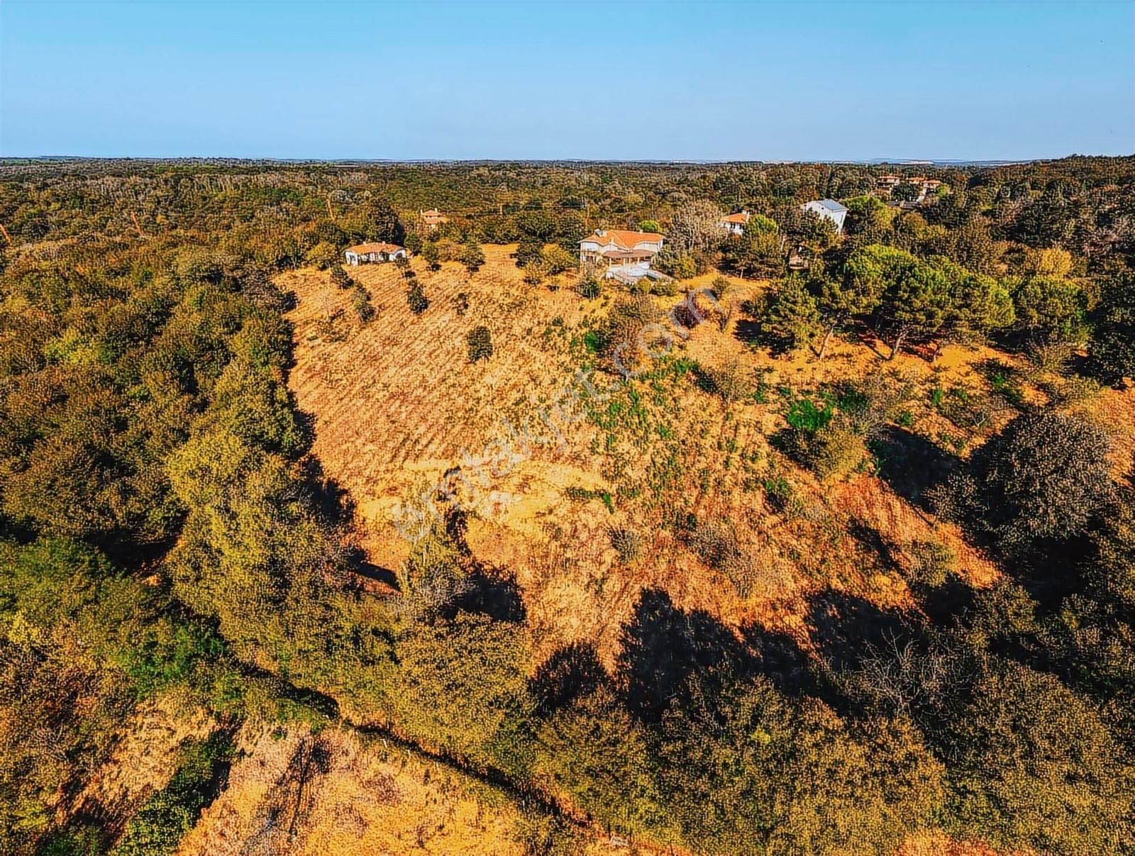 Beykoz Kılıçlıda 13830 M² Yatırımlık Arsa 15villa Potansiyeli - Görsel 14