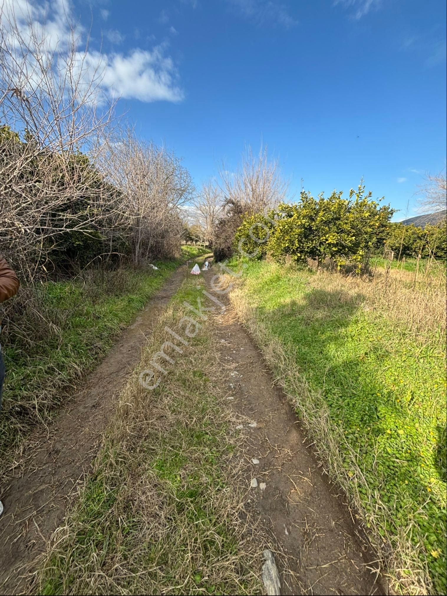 Nazilli Hamzalı Fırsat Portakal Hobi Bahçesi - Görsel 25