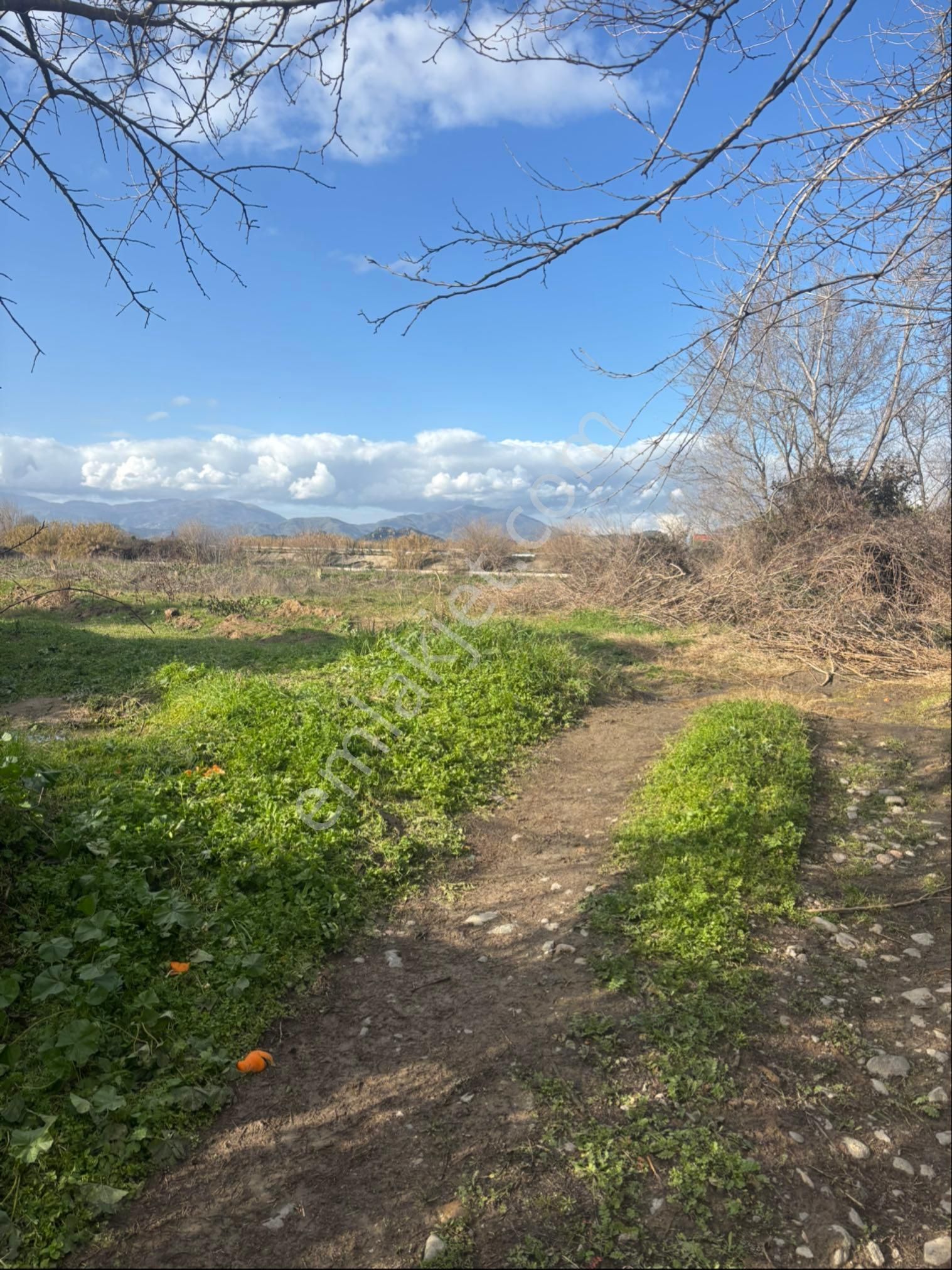 Nazilli Hamzalı Fırsat Portakal Hobi Bahçesi - Görsel 26