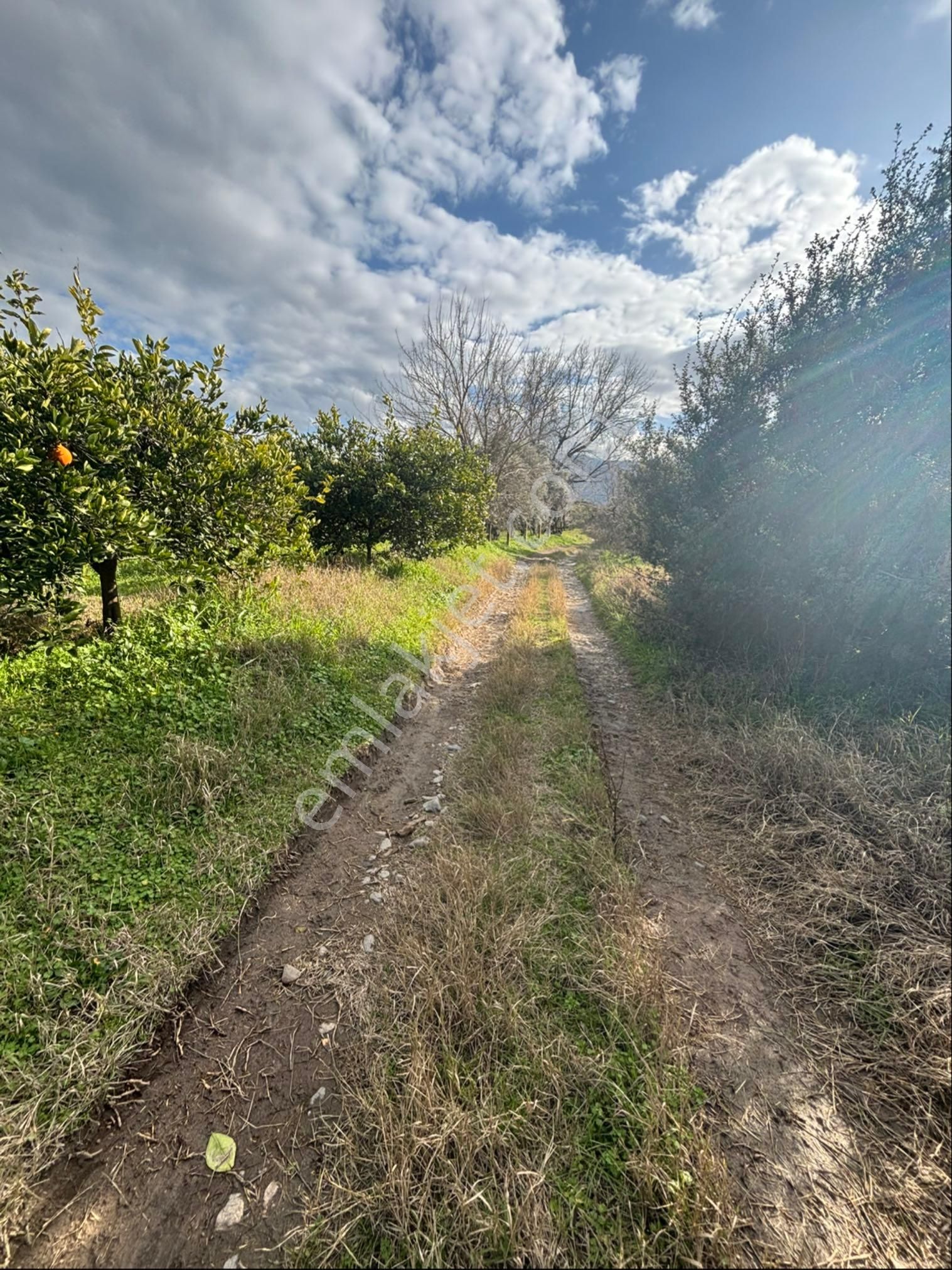 Nazilli Hamzalı Fırsat Portakal Hobi Bahçesi - Görsel 24