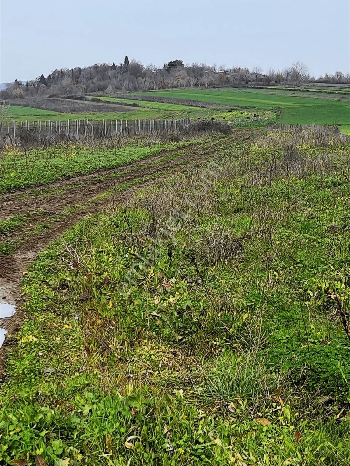 İzmit Bayraktarda Satılık Arazi - Görsel 9