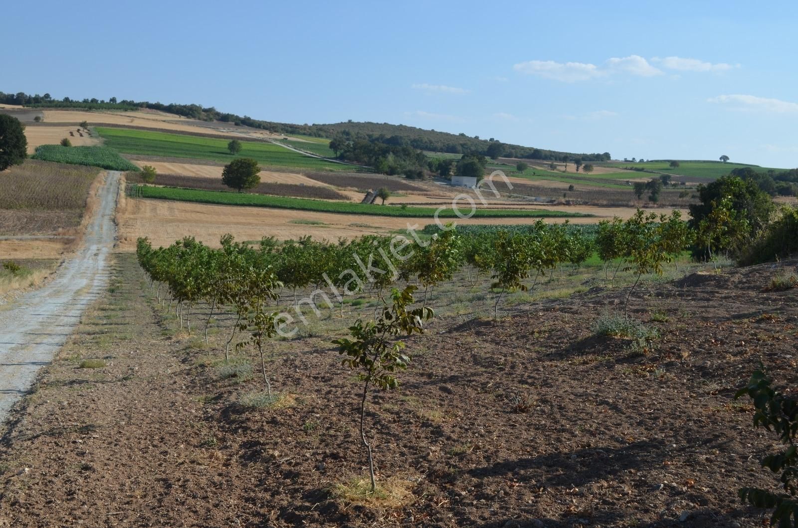 Akev'den Yenişehir Mahmudiye'de Yola 200 M Cepheli Ceviz Tarlası - Görsel 24