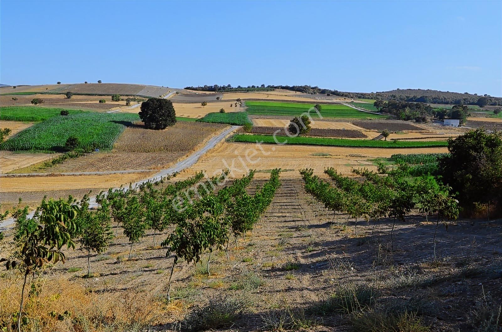 Akev'den Yenişehir Mahmudiye'de Yola 200 M Cepheli Ceviz Tarlası - Görsel 18
