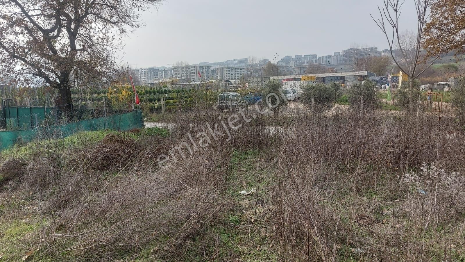 Kayapa-görükle Arası Asfalt Yola Cepheli 1132 M2 Arazi - Görsel 32