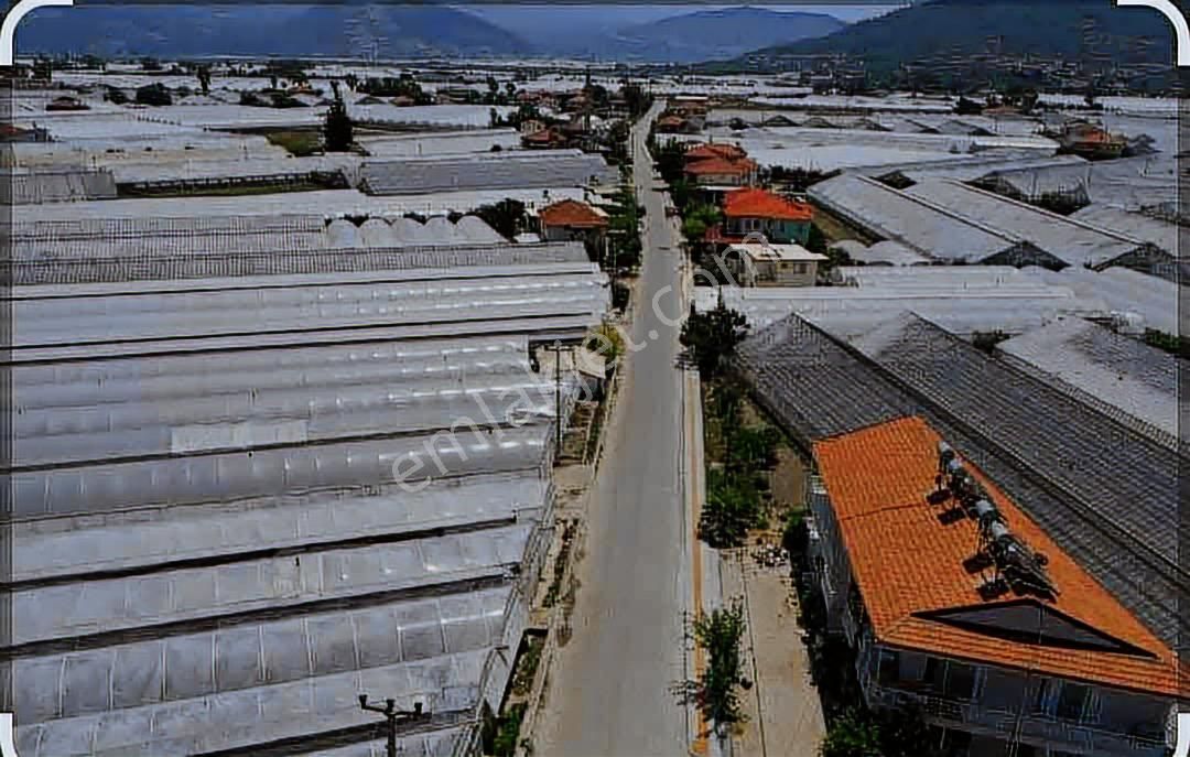 Kaş Ova Merkezde Yatırımlık 7510 M2 Sera Vasıflı Tarla - Görsel 2