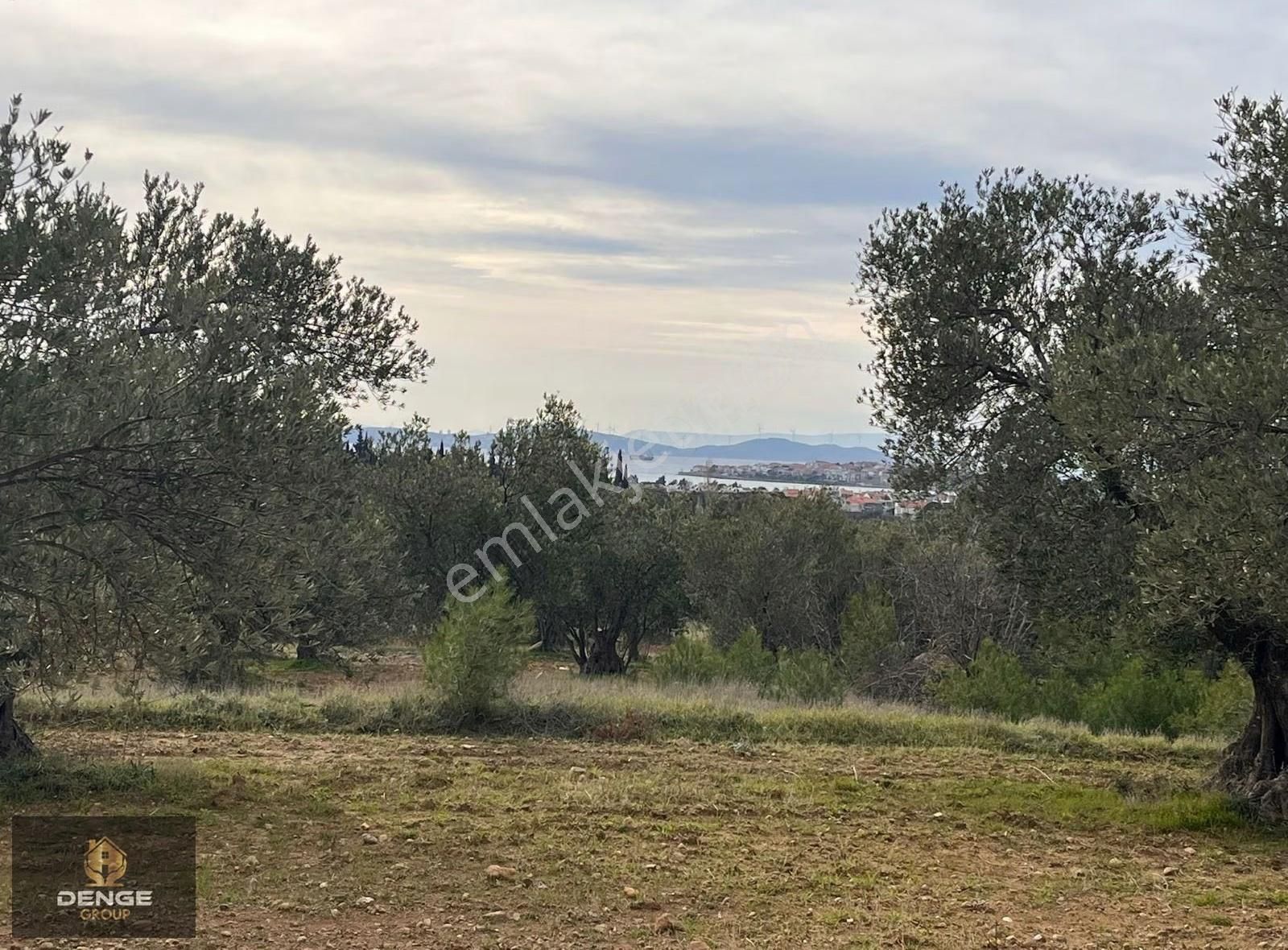 Dikili Çandarlıda Merkeze Yürüme Mesafesinde 323m2 Bahçe