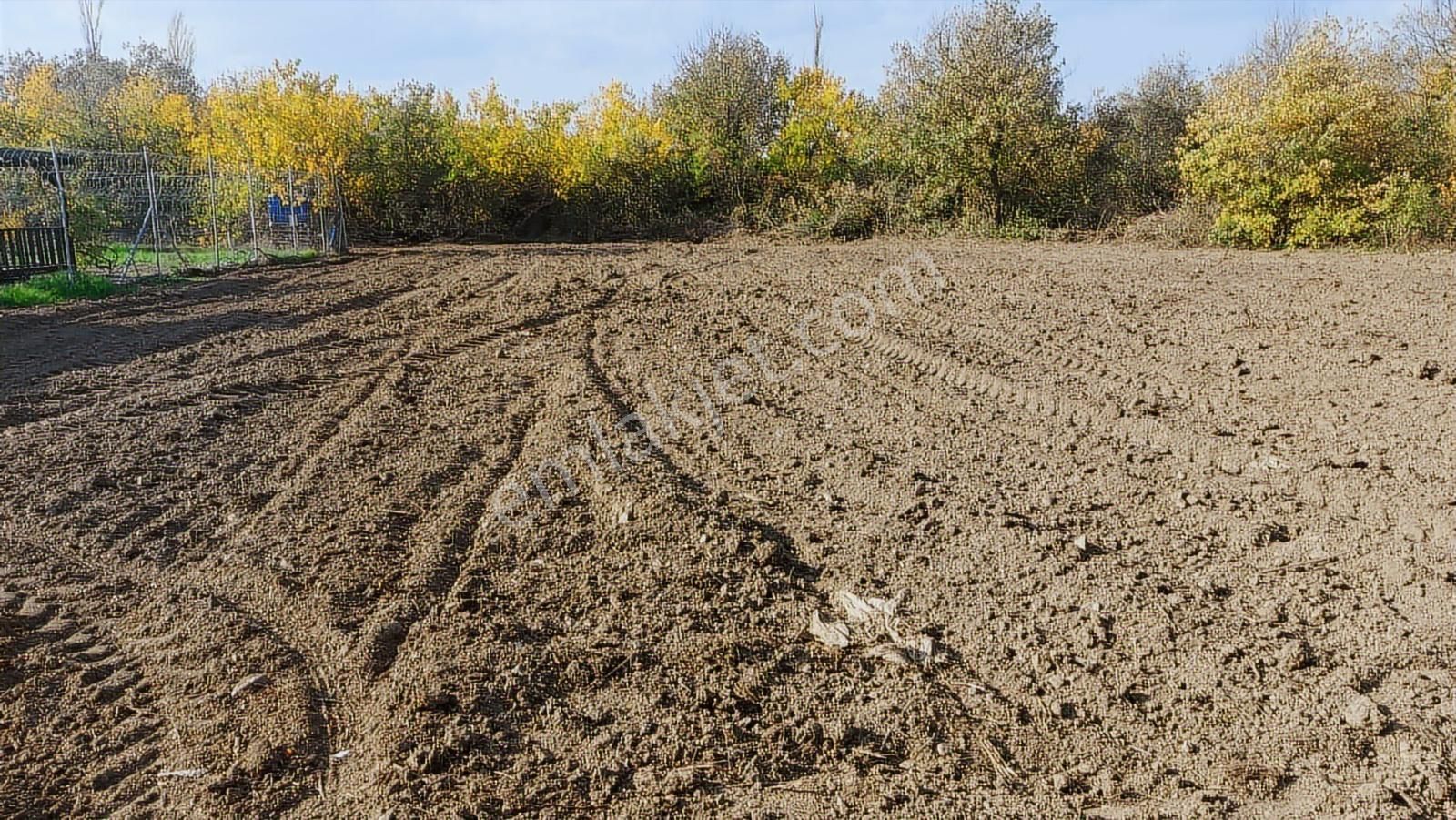 Kayapa Ovada Dümdüz Anayola 320 M Mesafede 1415 M2 Arazi - Görsel 11