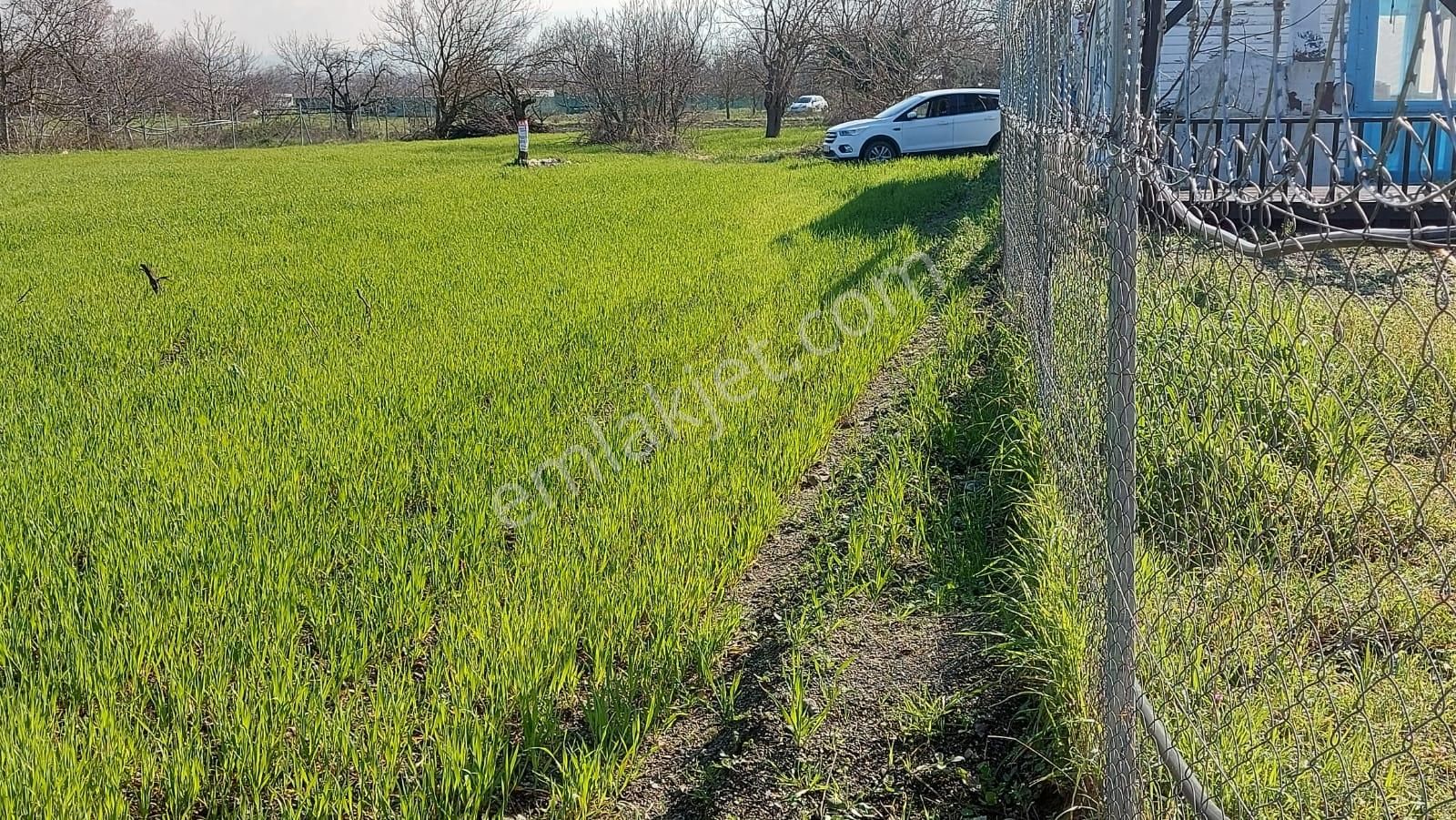 Kayapa Ovada Dümdüz Anayola 320 M Mesafede 1415 M2 Arazi - Görsel 33