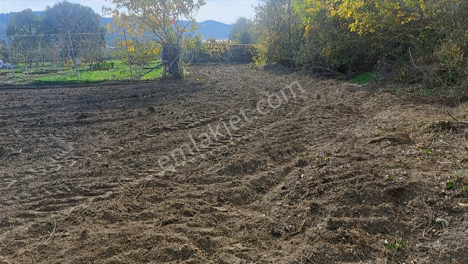 Kayapa Ovada Dümdüz Anayola 320 M Mesafede 1415 M2 Arazi - Görsel 12