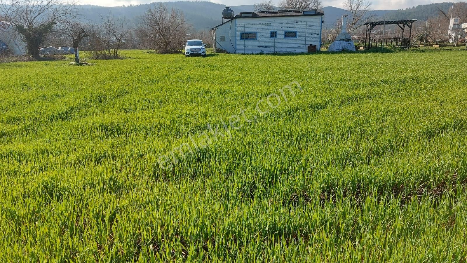 Kayapa Ovada Dümdüz Anayola 320 M Mesafede 1415 M2 Arazi - Görsel 19