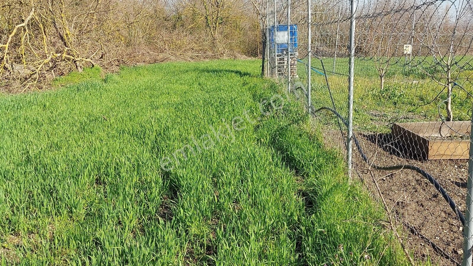 Kayapa Ovada Dümdüz Anayola 320 M Mesafede 1415 M2 Arazi - Görsel 26