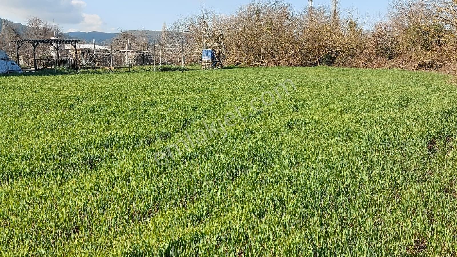 Kayapa Ovada Dümdüz Anayola 320 M Mesafede 1415 M2 Arazi - Görsel 22