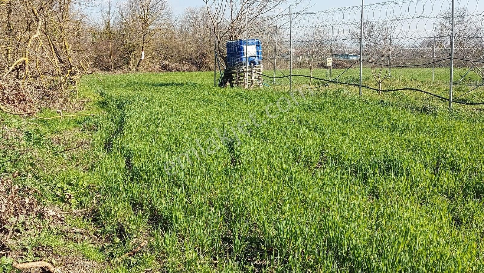 Kayapa Ovada Dümdüz Anayola 320 M Mesafede 1415 M2 Arazi - Görsel 35