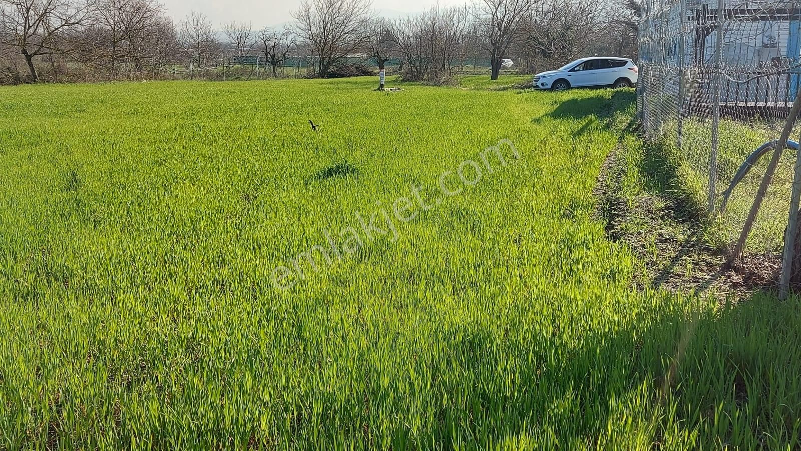 Kayapa Ovada Dümdüz Anayola 320 M Mesafede 1415 M2 Arazi - Görsel 24